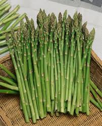 Asparagus 'Mary Washington'
