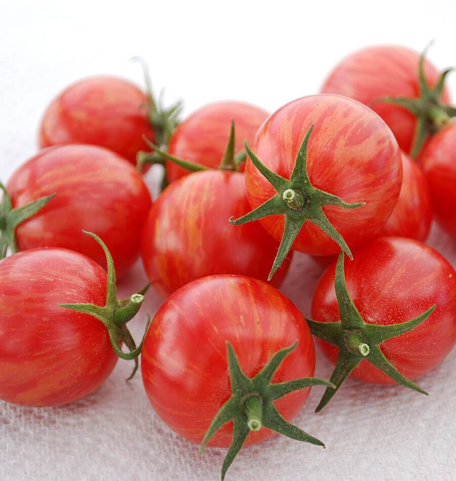 Cherry Tomato 'Bumble Bee Pink'